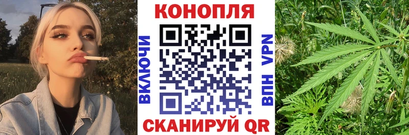 где купить наркоту  Славгород  Шишки марихуана план 