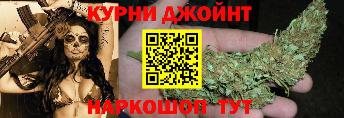 Каннабис планчик Славгород